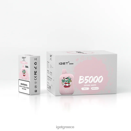 IGET online b5000 LDRXX317 σταφύλι sakura